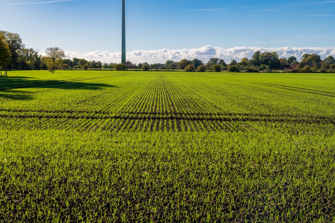 Najnoviji razvoj austrijske ekonomije i politike